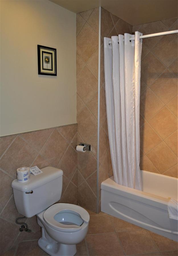 Motel Quatre Saisons Forestville Esterno foto